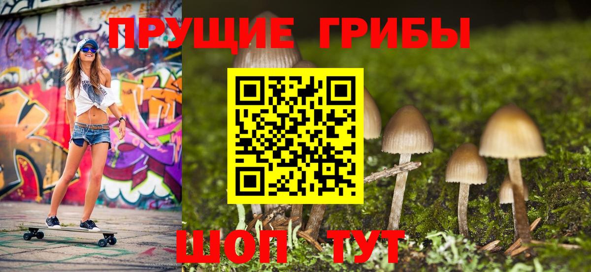 Находка  Галлюциногенные грибы мицелий  Вход с VPN 