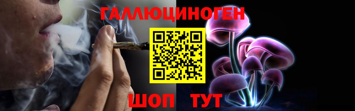 Галлюциногенные грибы Cubensis Находка